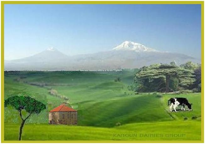 KAROUN DAIRIES GROUP